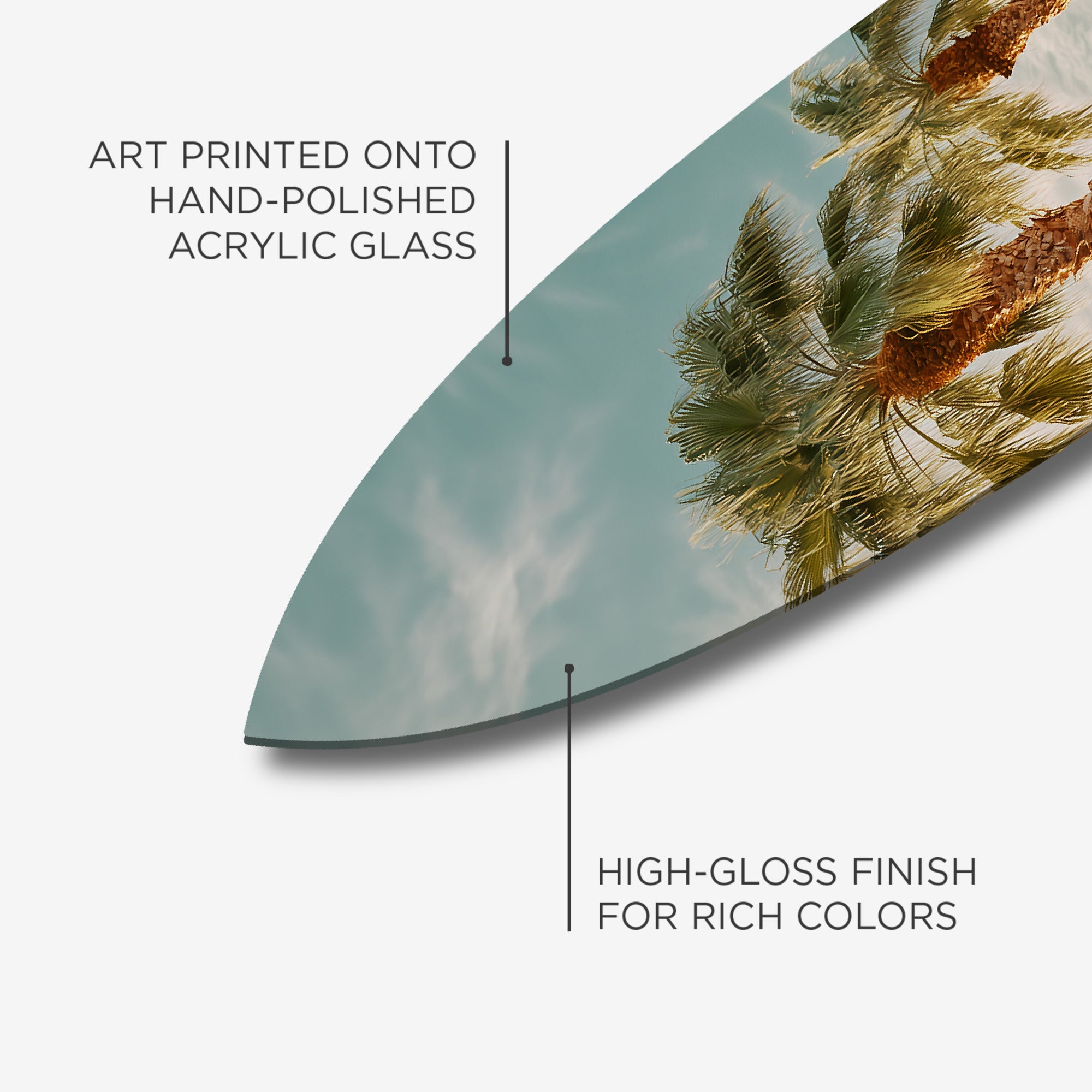 Sunkissed Roadster Surfboard Secondary image