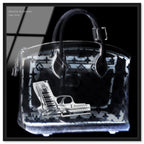 Couture X Ray