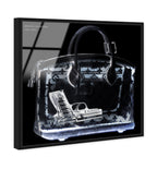 Couture X Ray