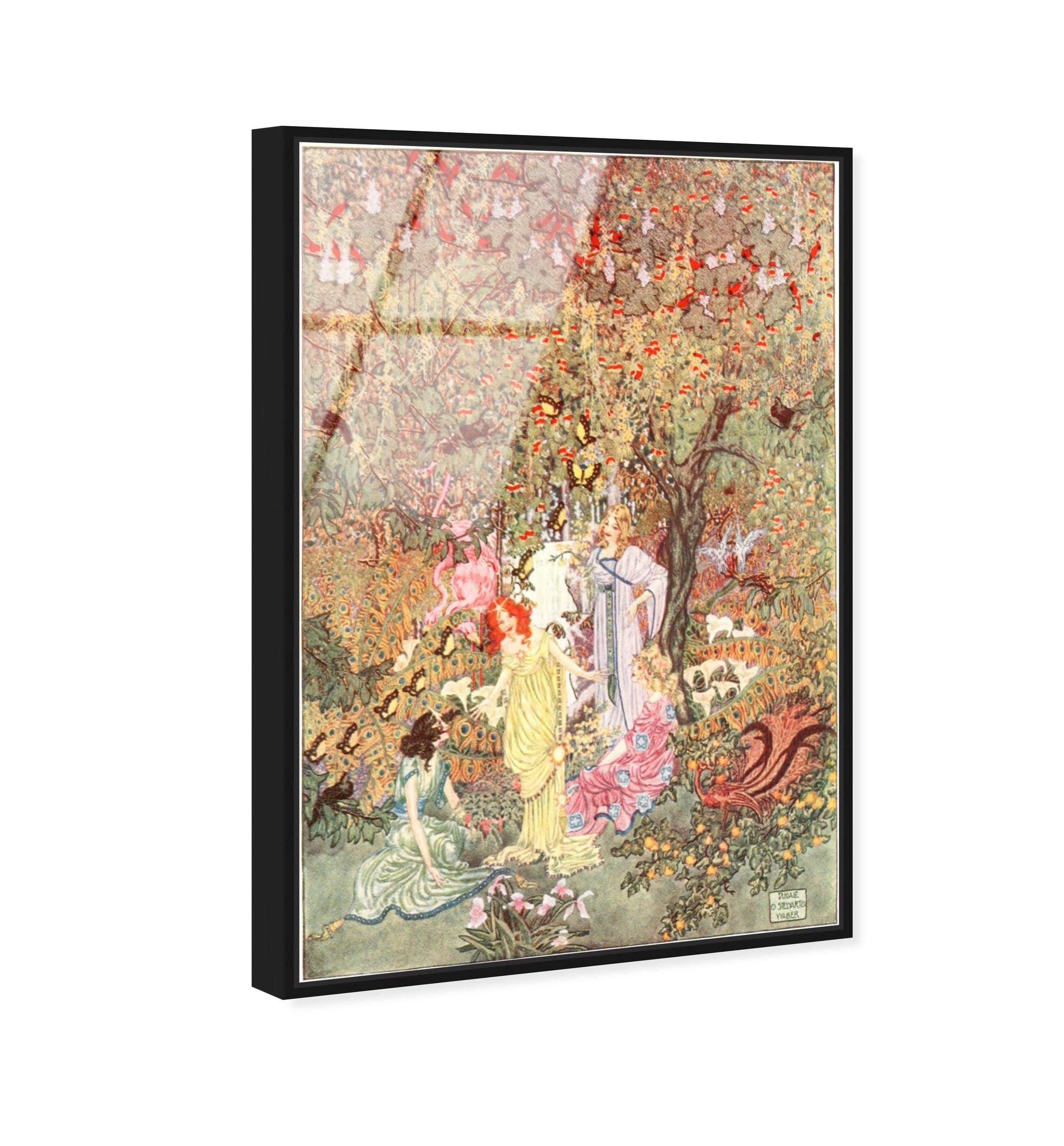 Fairy Gathering
