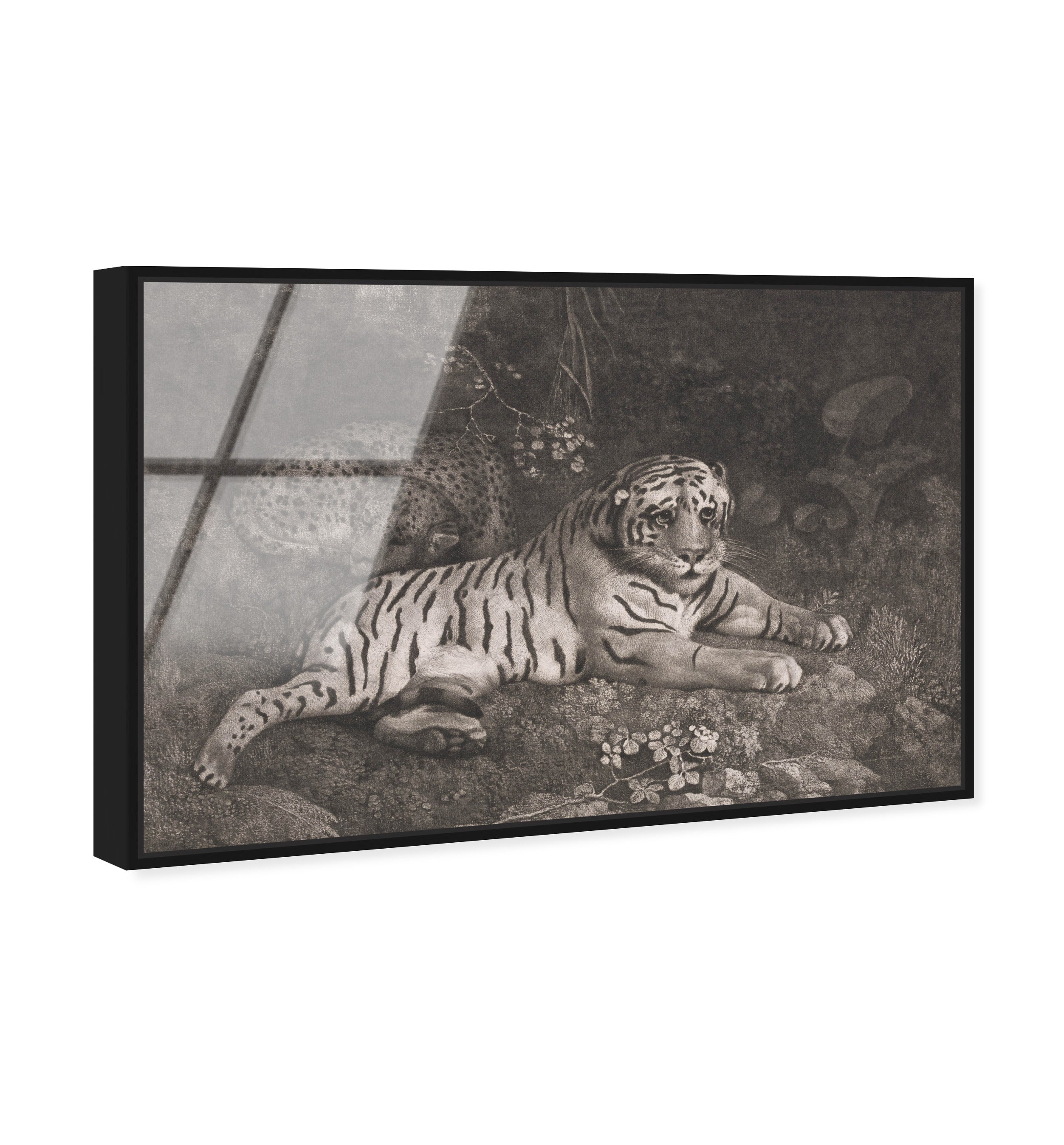 G Stubbs - A Tiger Sleeping and a Leopard 1788