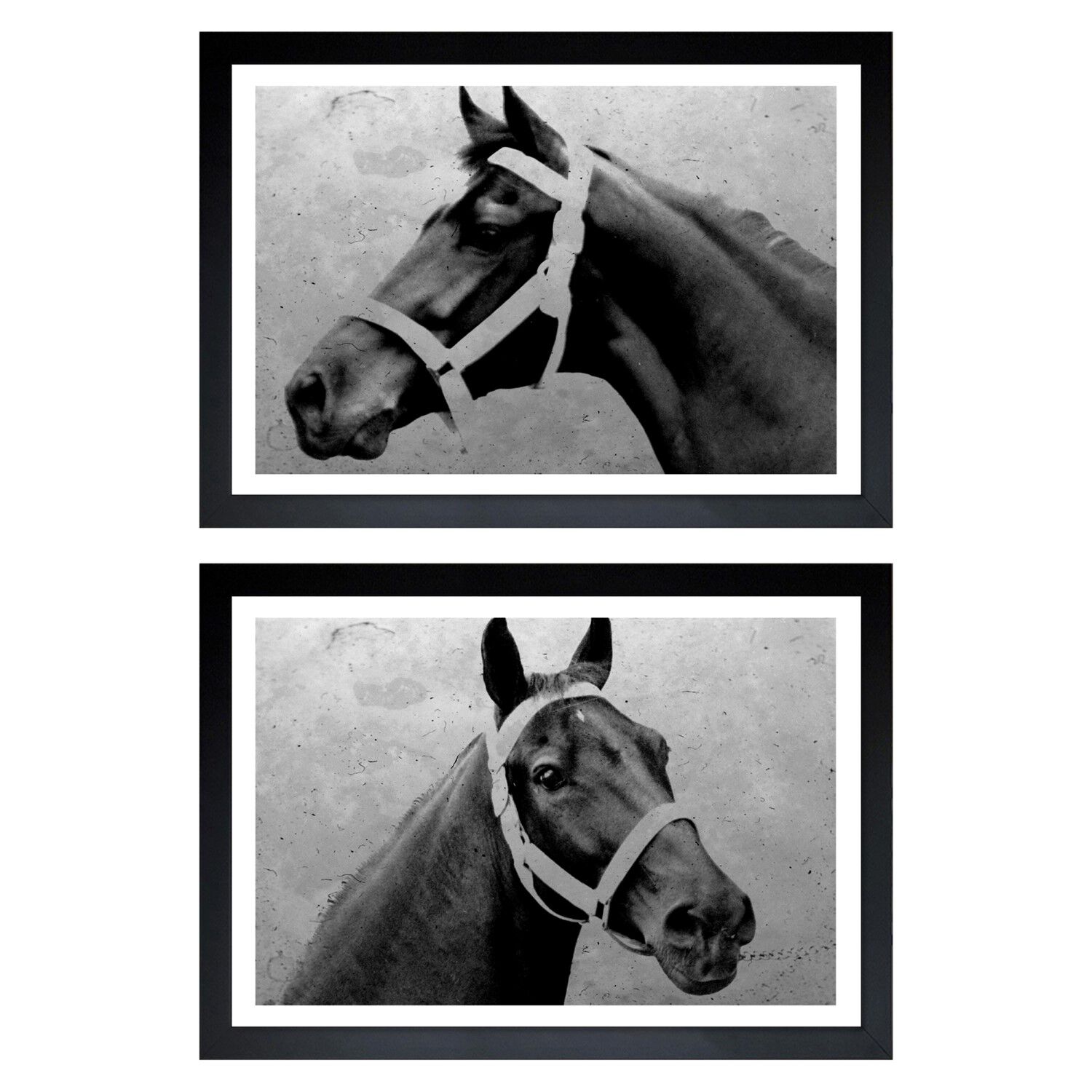 Winning Horse 2-Piece Set Main image