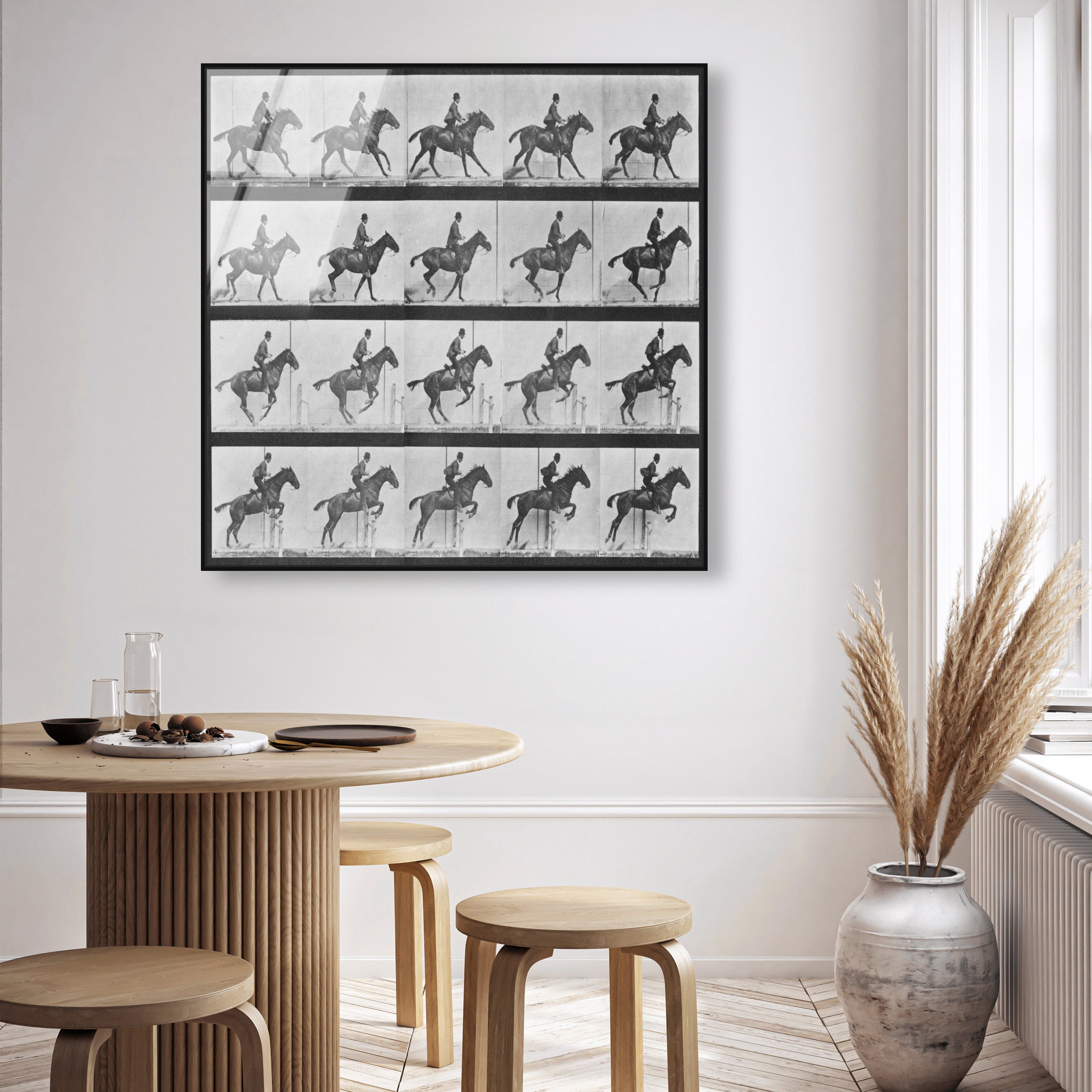 Stages of a Jumping Horse