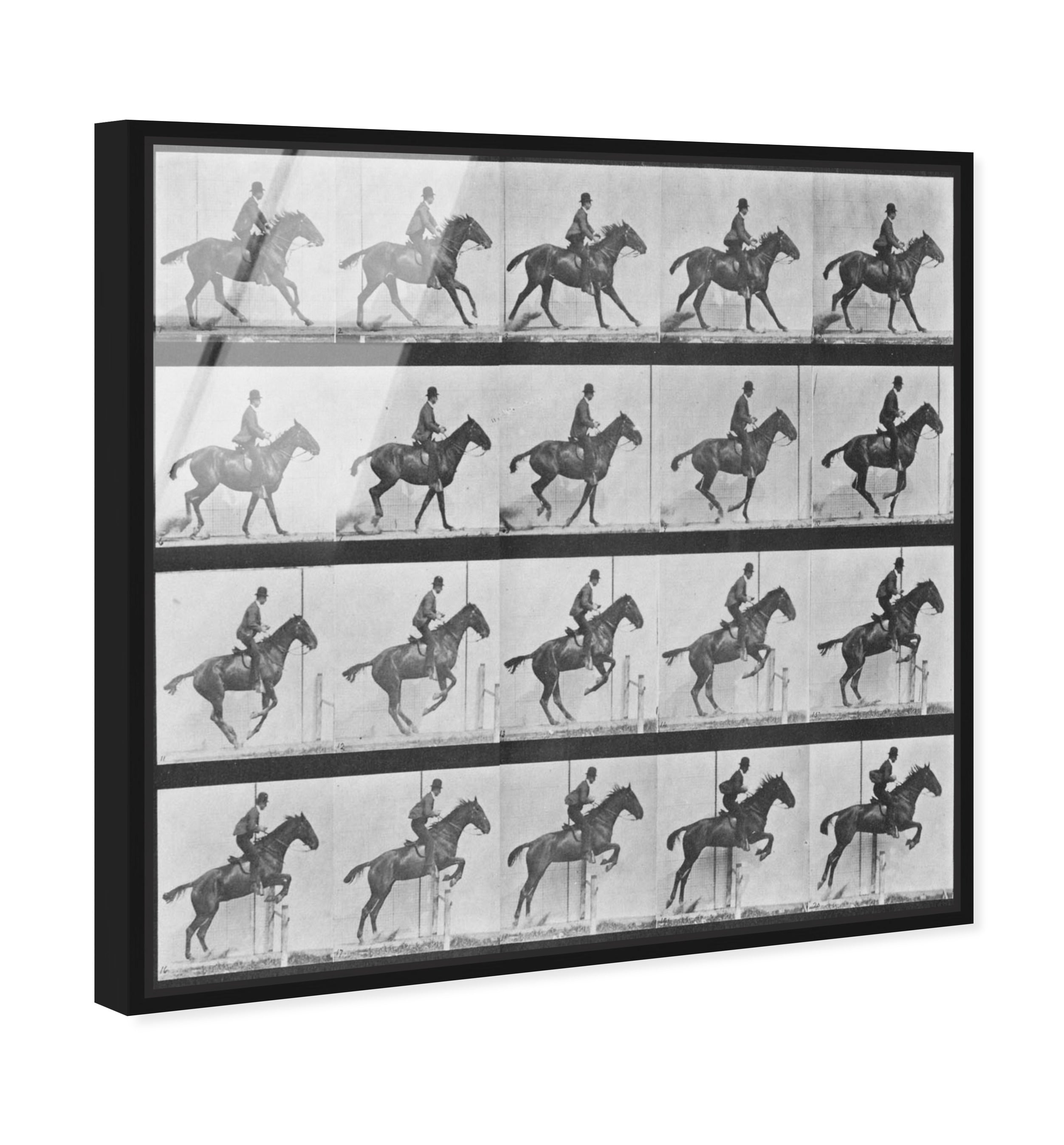 Stages of a Jumping Horse