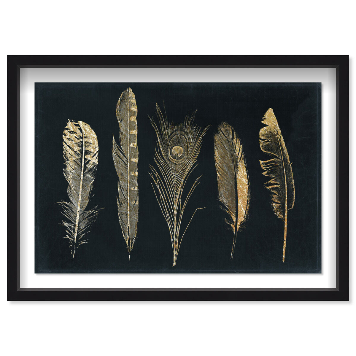 Corinthian Feathers - Signature Collection Main image