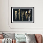 Corinthian Feathers - Signature Collection
