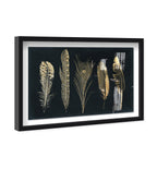 Corinthian Feathers - Signature Collection