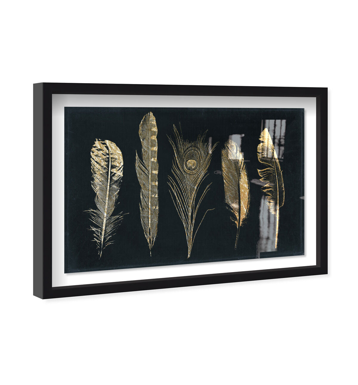 Corinthian Feathers - Signature Collection