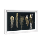 Corinthian Feathers - Signature Collection
