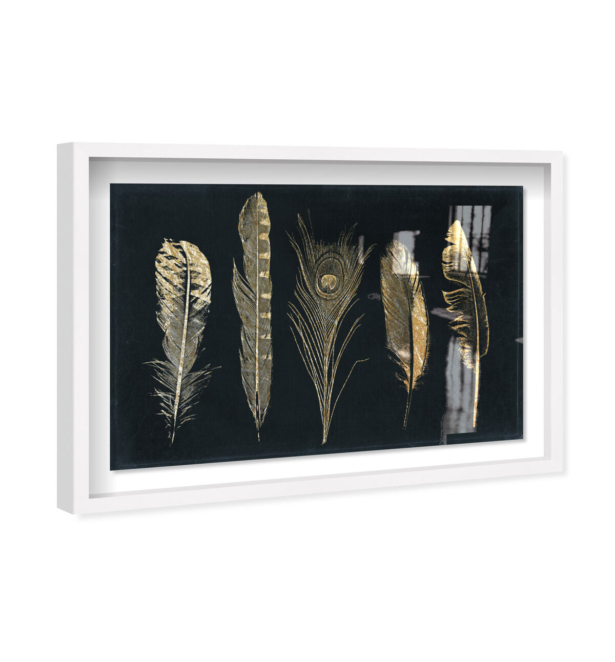 Corinthian Feathers - Signature Collection