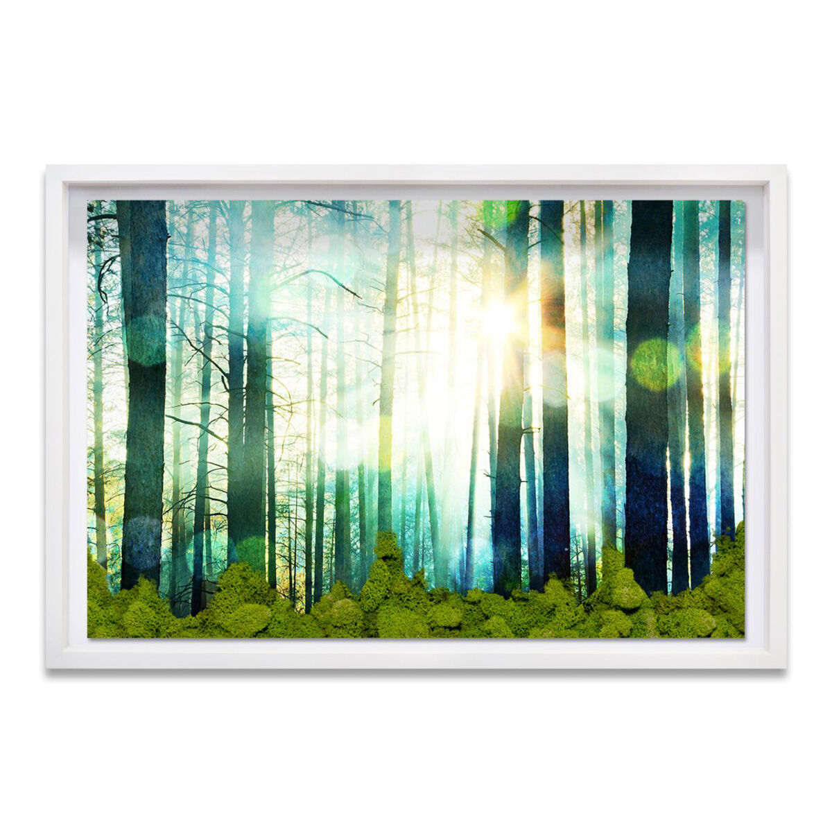 Breathe Deep Moss Live Art Main image