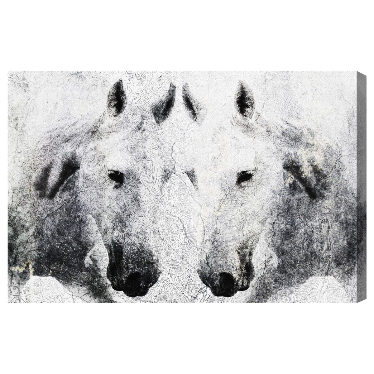 Equus Platinum II Main image