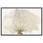 Gold Coral Fan