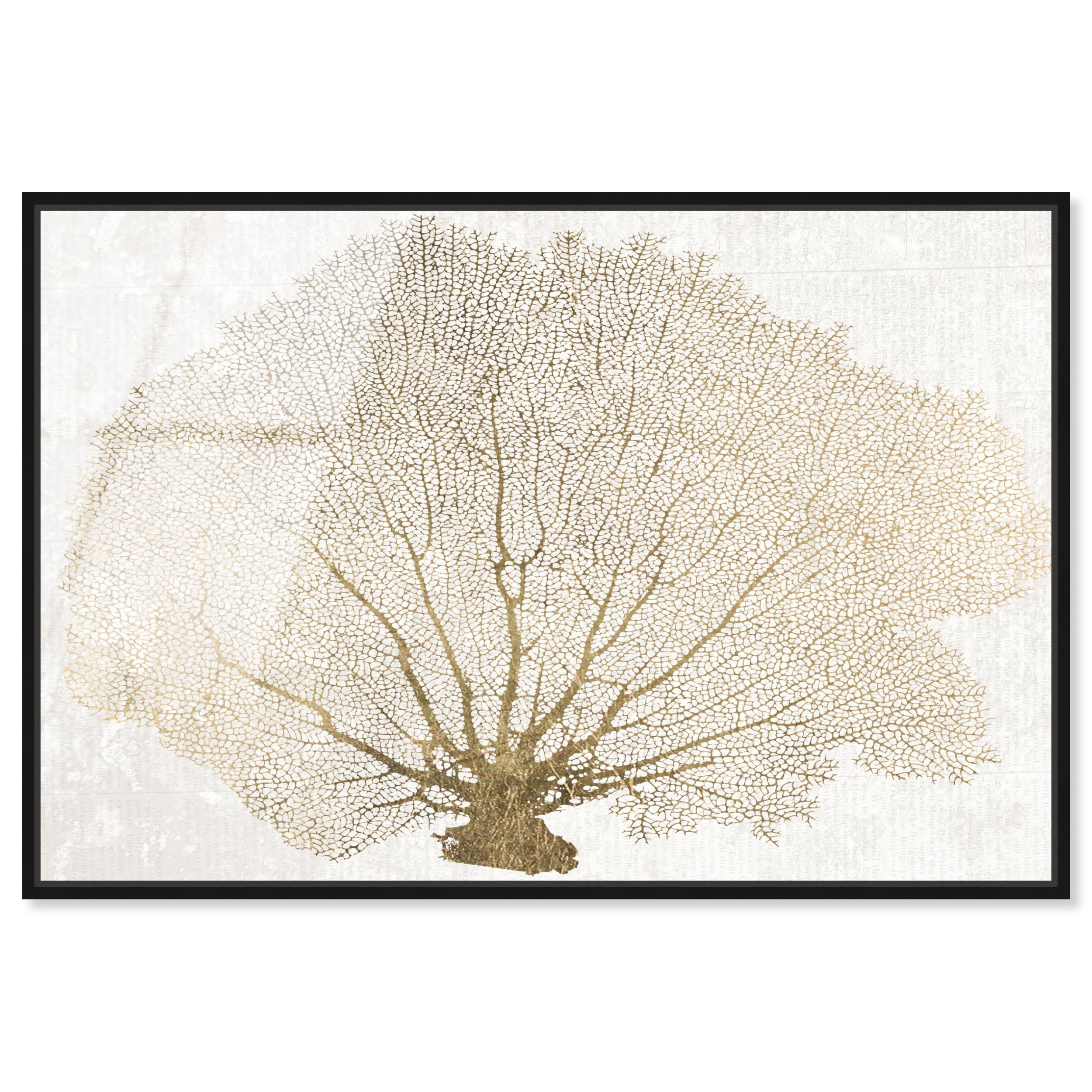 Gold Coral Fan