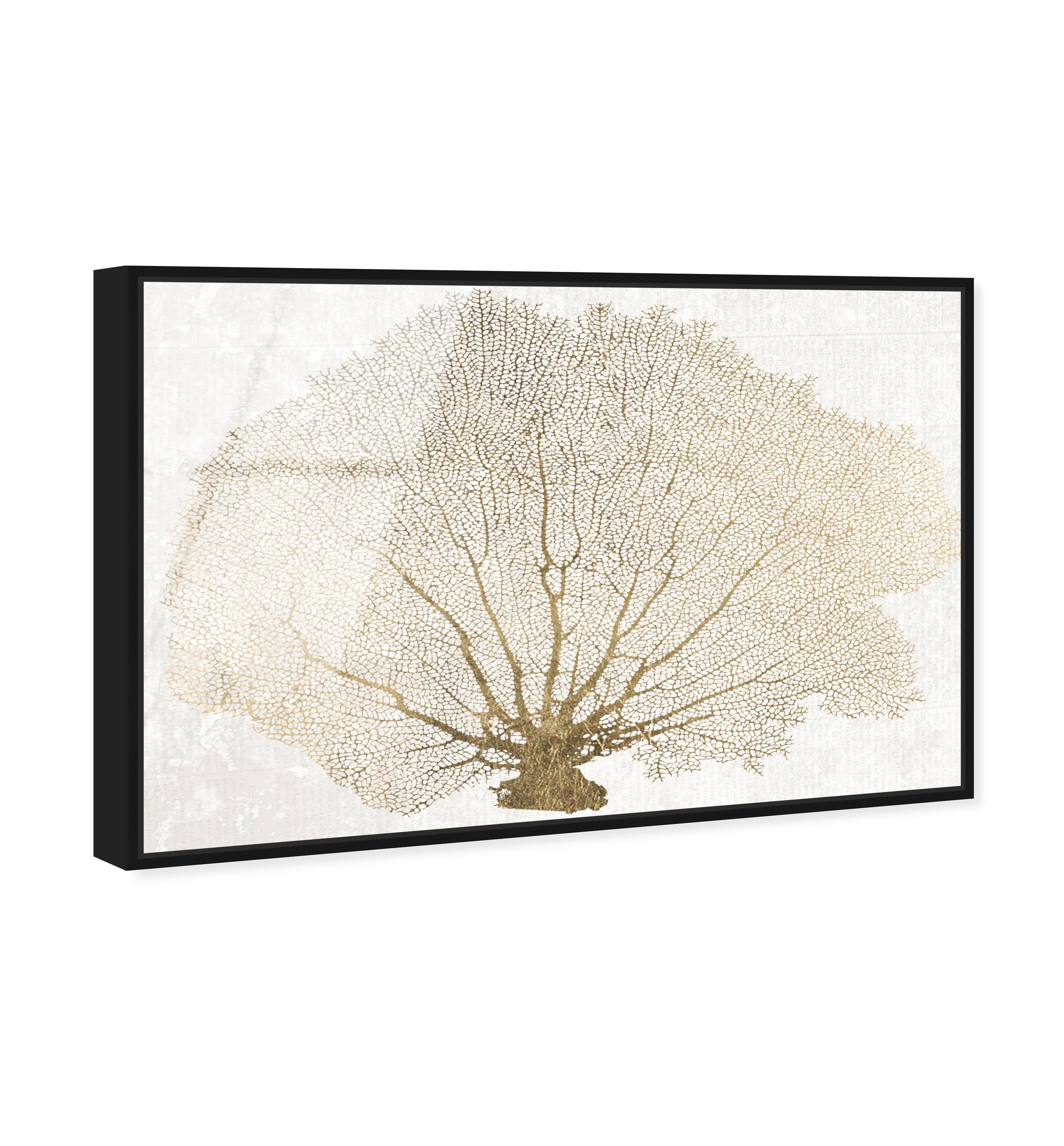 Gold Coral Fan