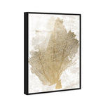 Gold Coral Fan 2