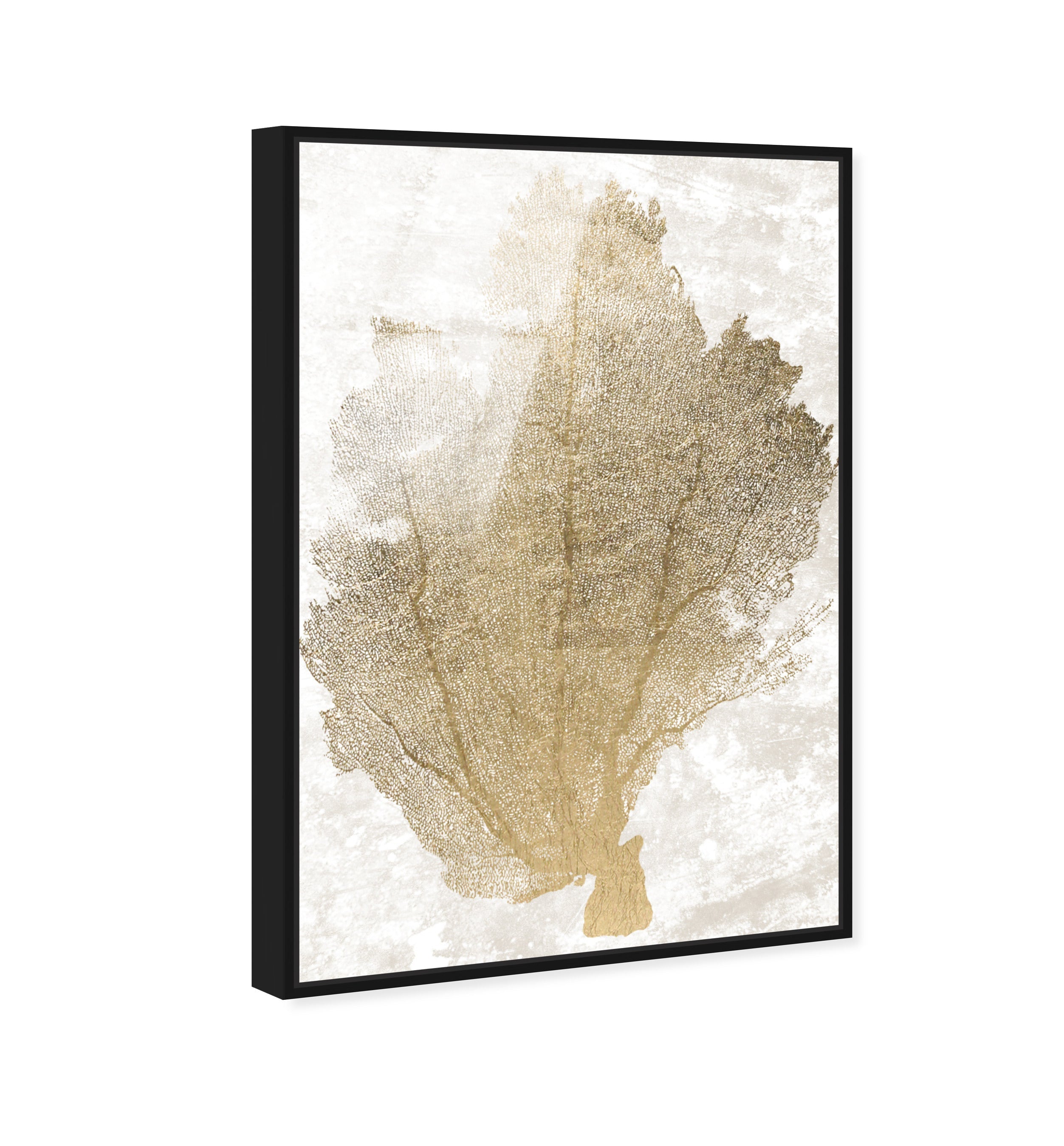 Gold Coral Fan 2