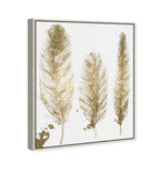 Gold Feathers