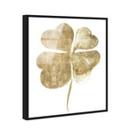Clover