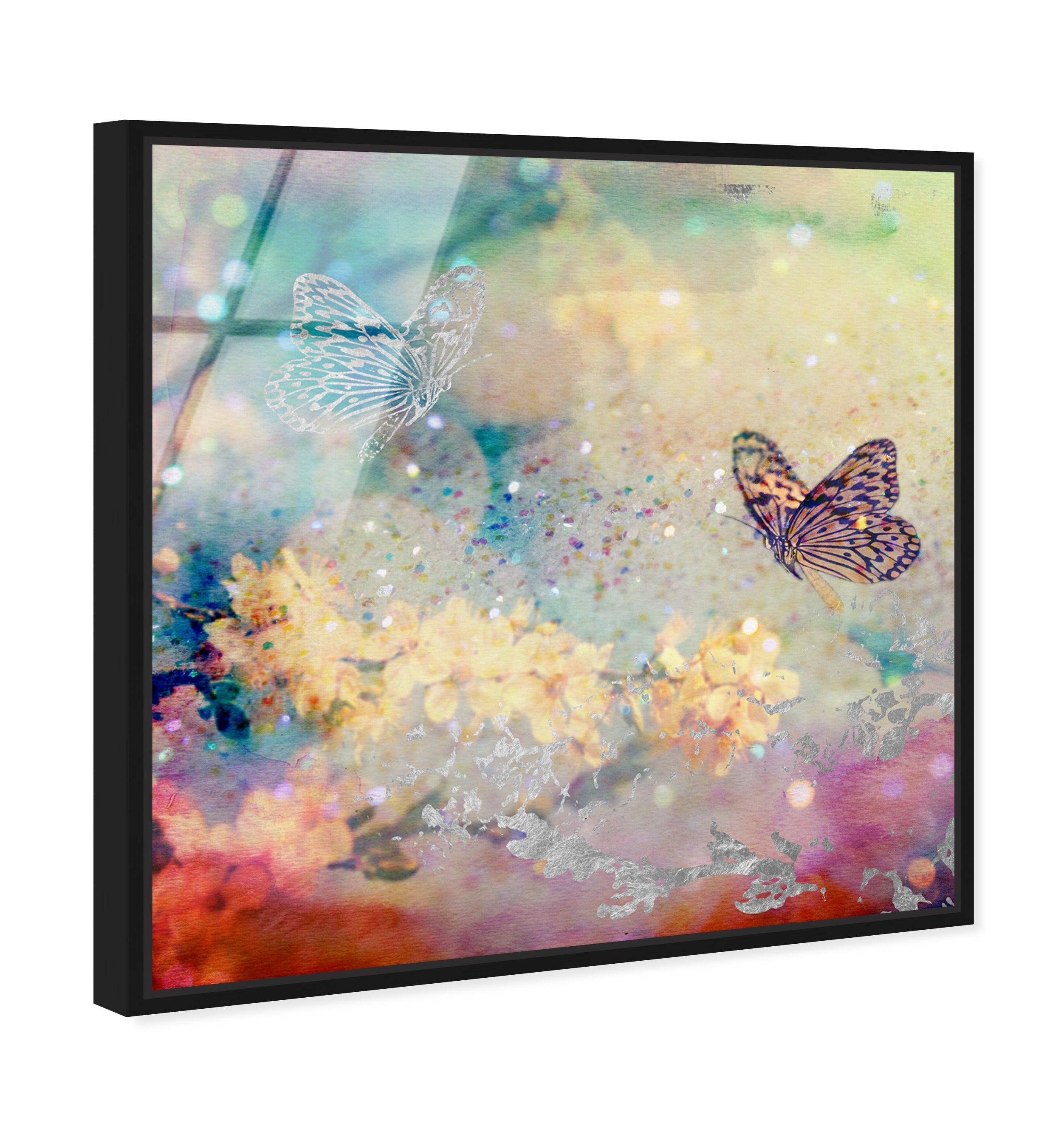 Butterfly Dance