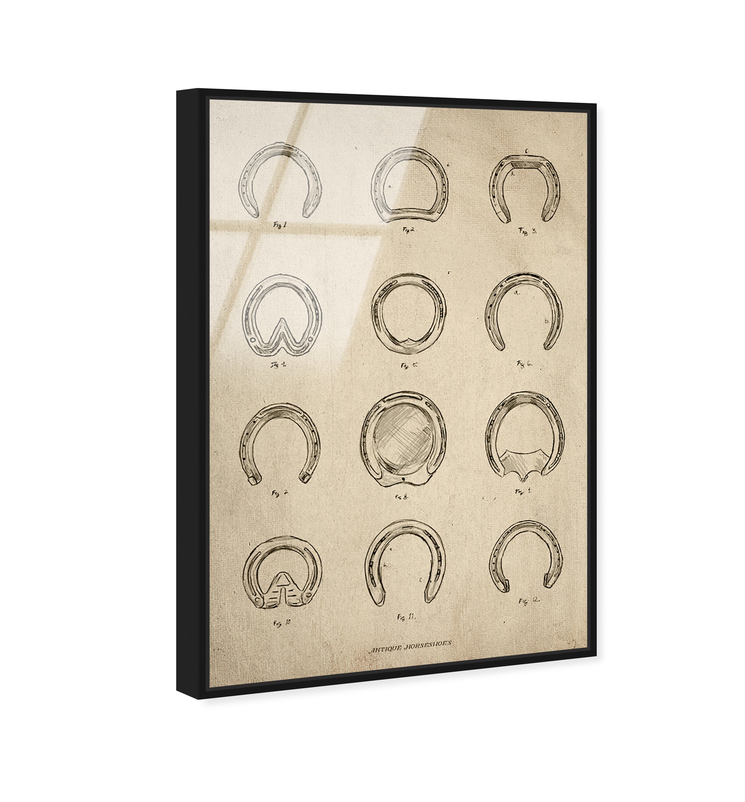 Antique Horseshoes