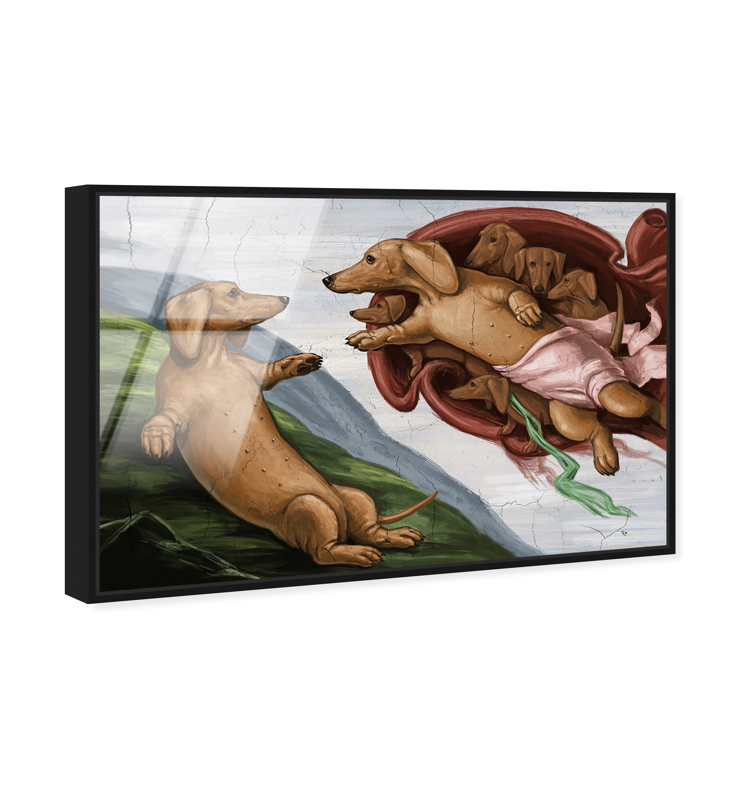 The Creation of the Dog
