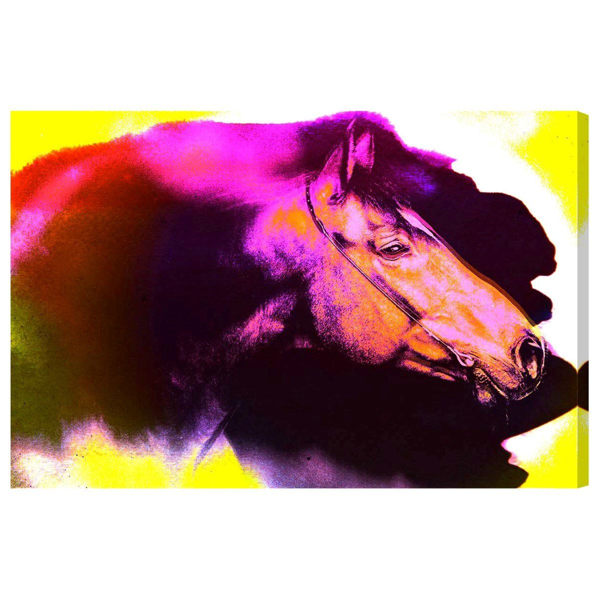 Absorbed Neon By Carson Kressley Main image
