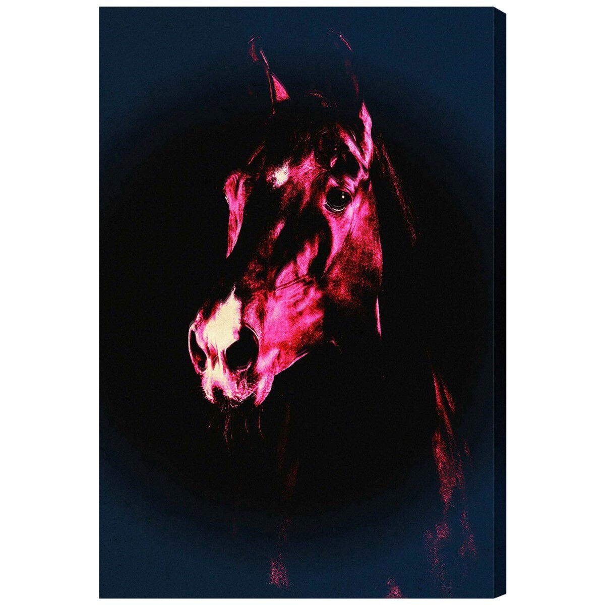 Stallion in Neon By Carson Kressley Main image