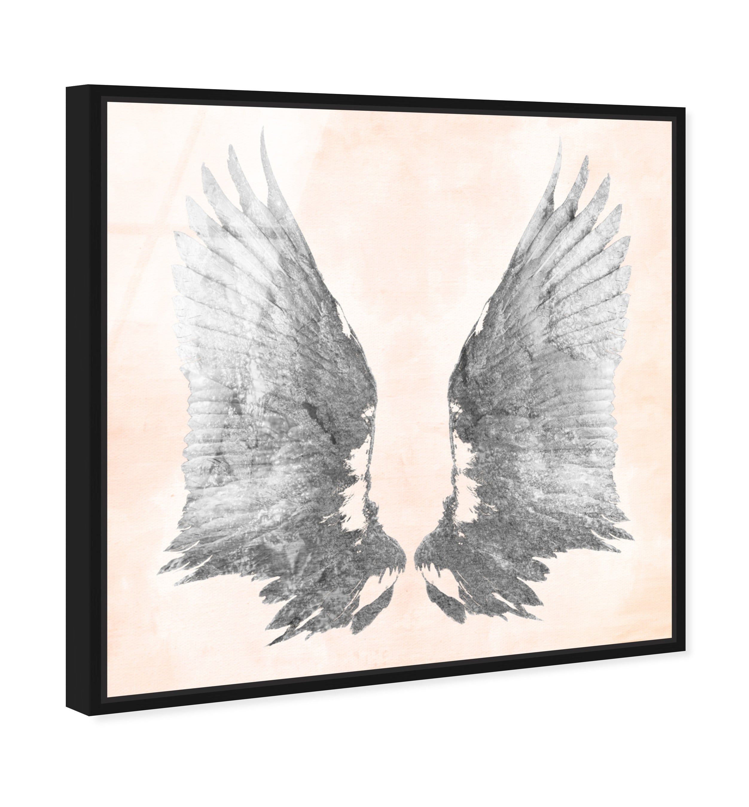 Pink Silver Wings