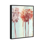 Palm Tree Dream