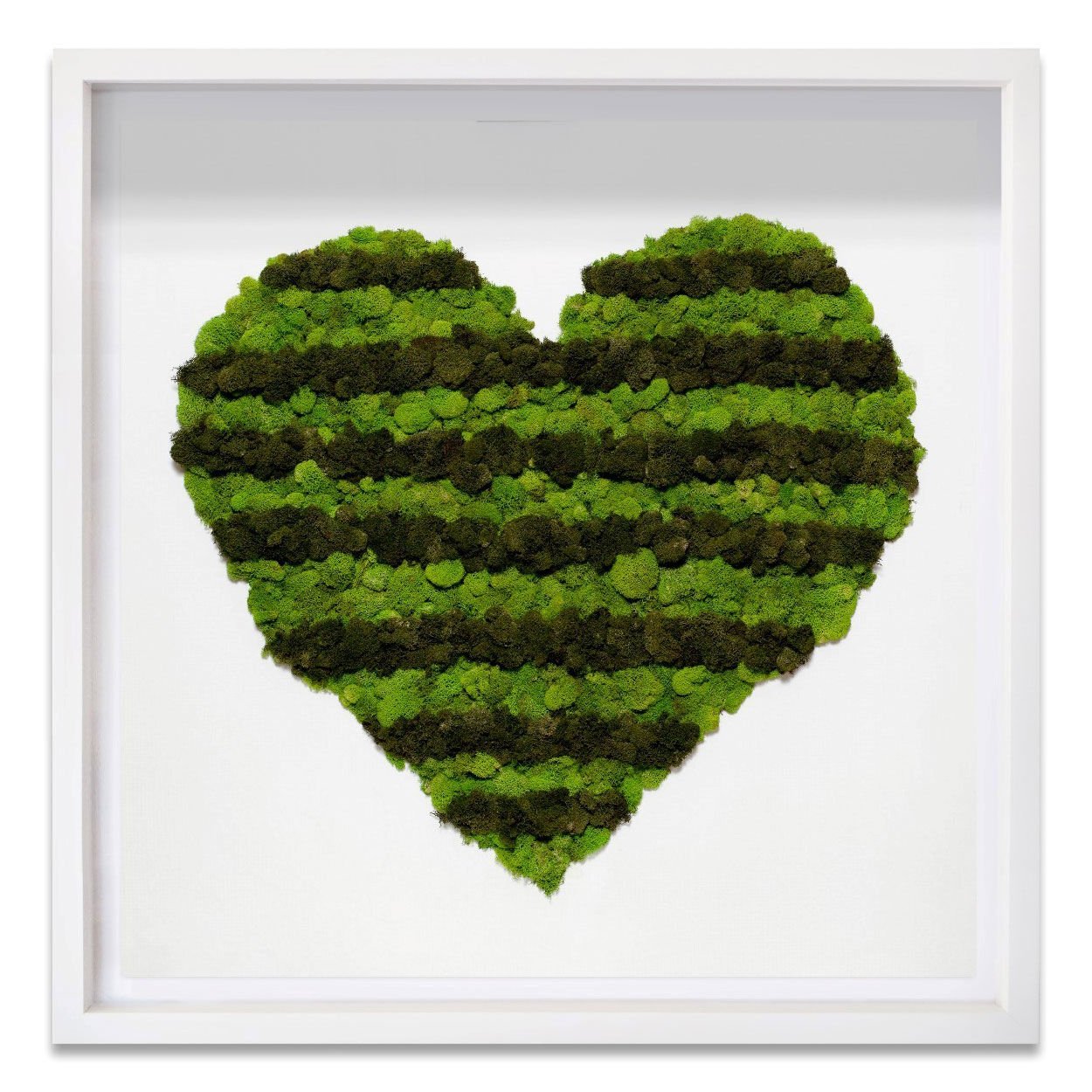 Heart of Moss Main image
