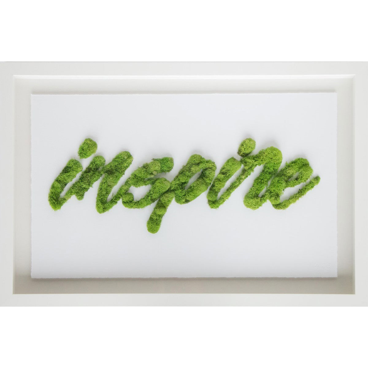 Inspire II