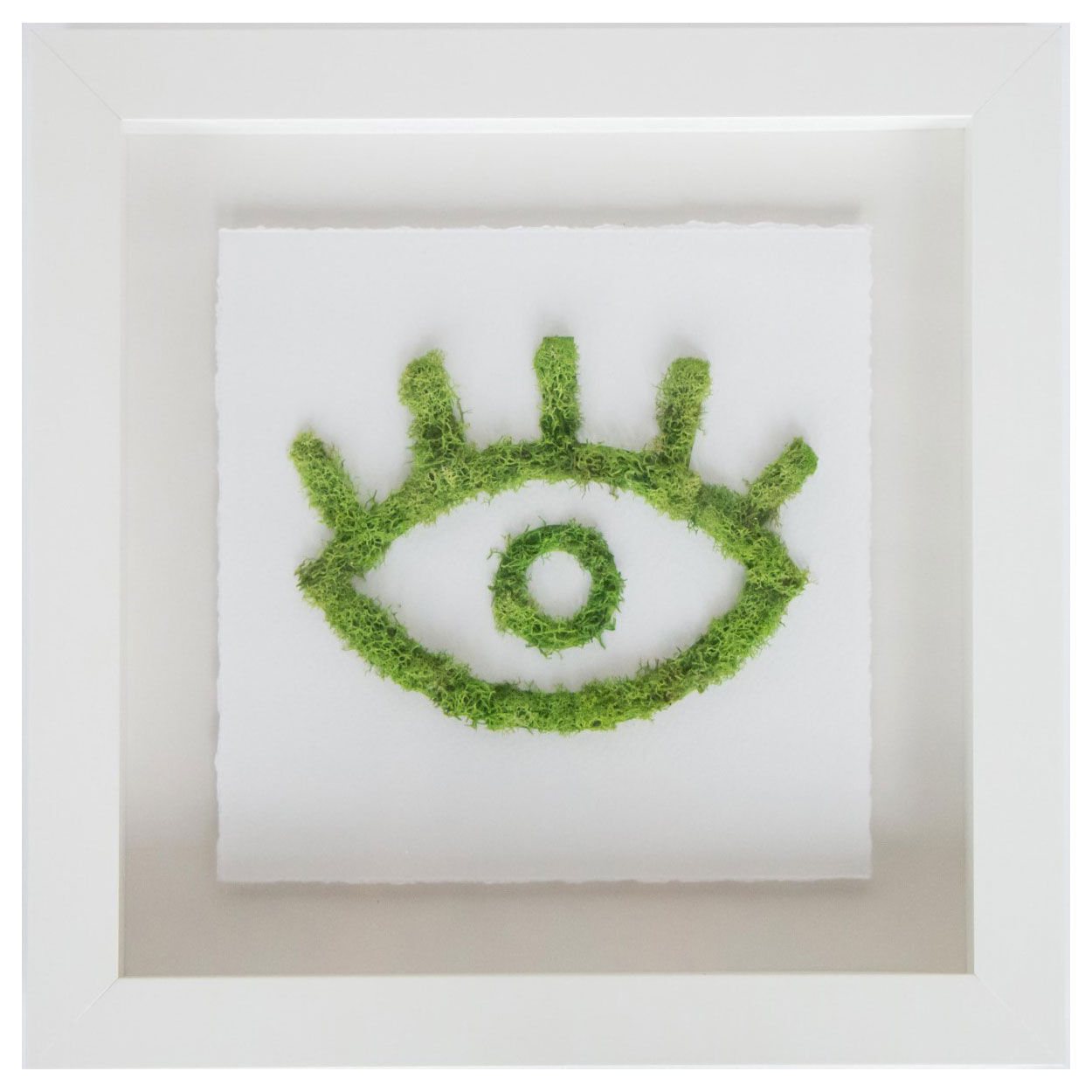 Moss I See Nature I Main image