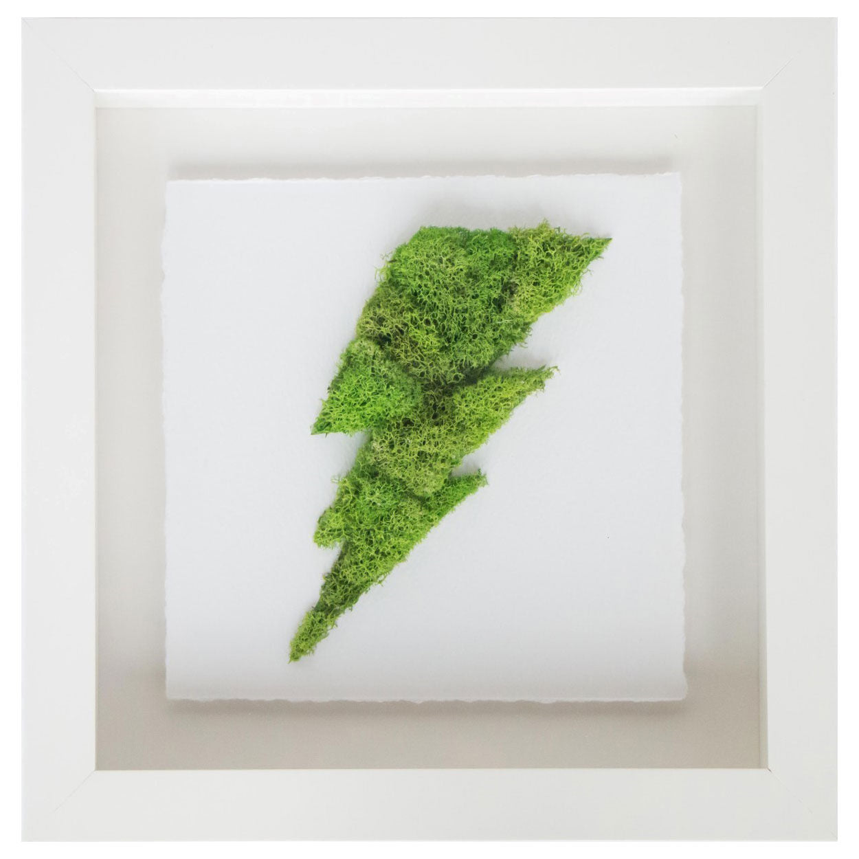 Moss  Lightning Main image