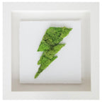 Moss  Lightning