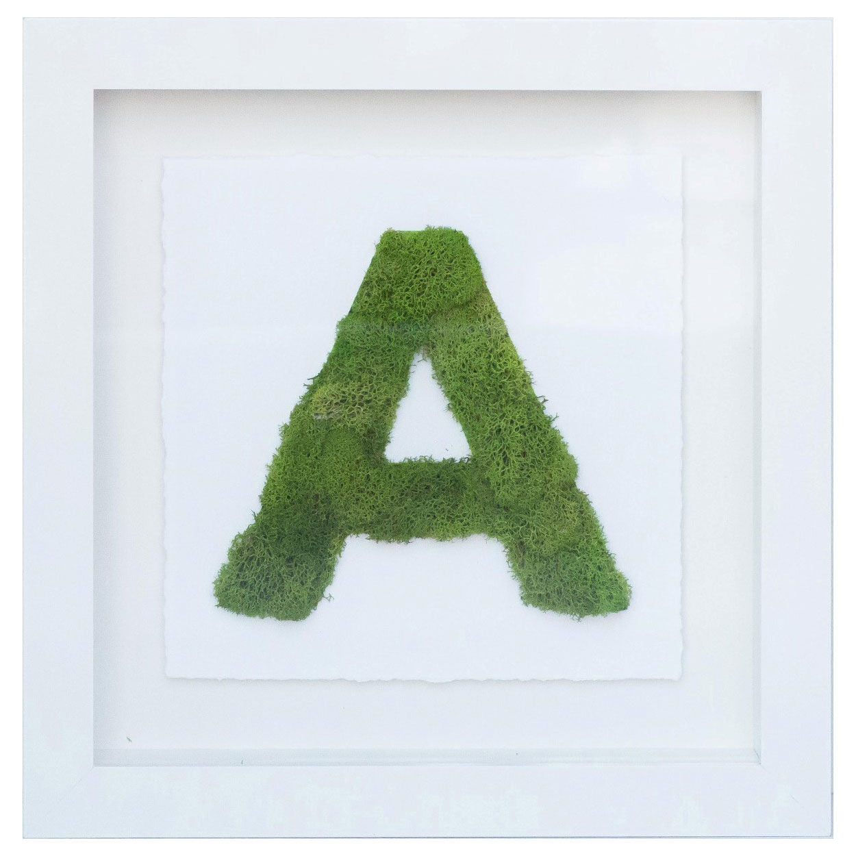 The Letter A Nature Main image