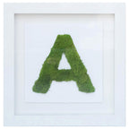 The Letter A Nature
