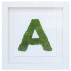 The Letter G Nature