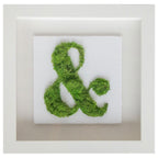 Ampersand Moss