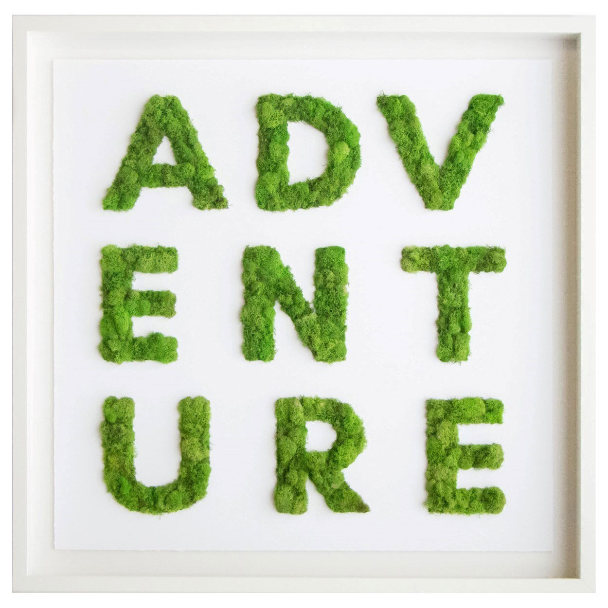 Adventure Moss Main image