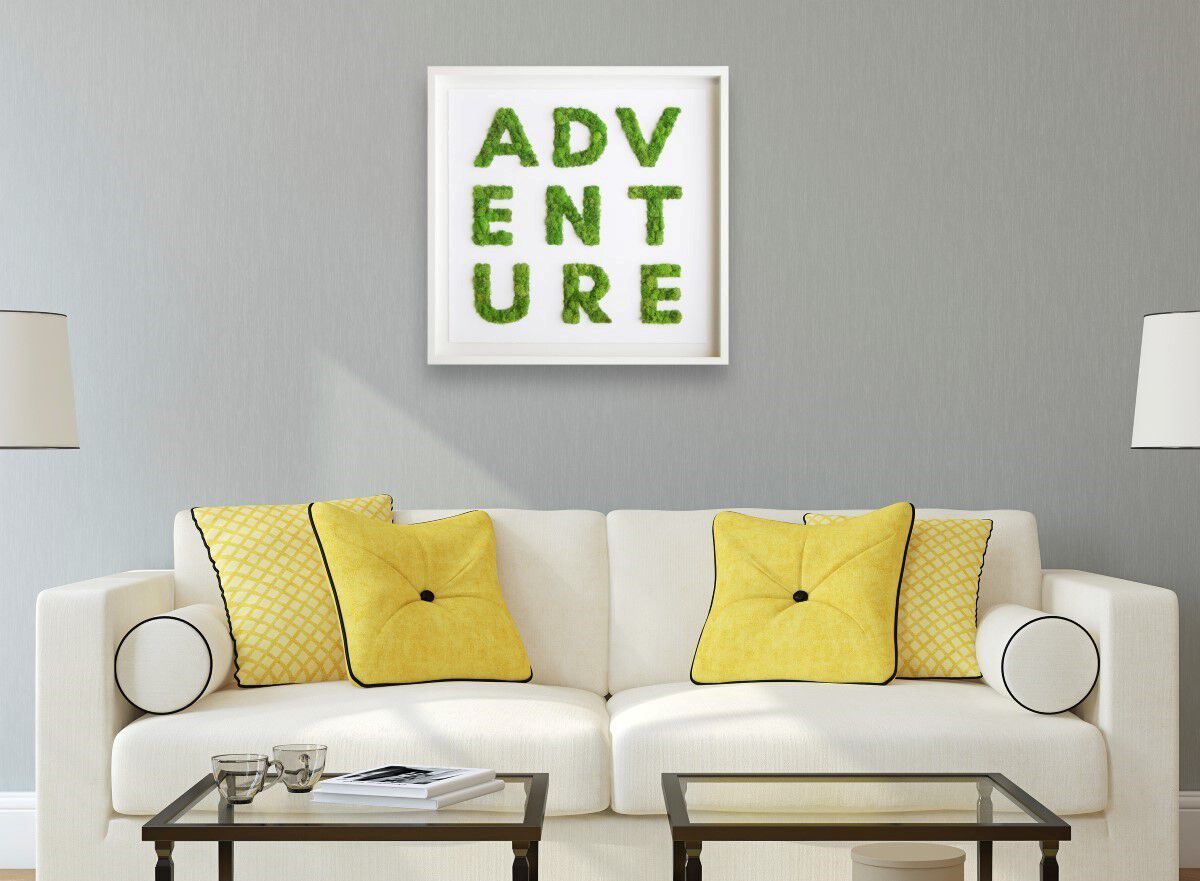 Adventure Moss
