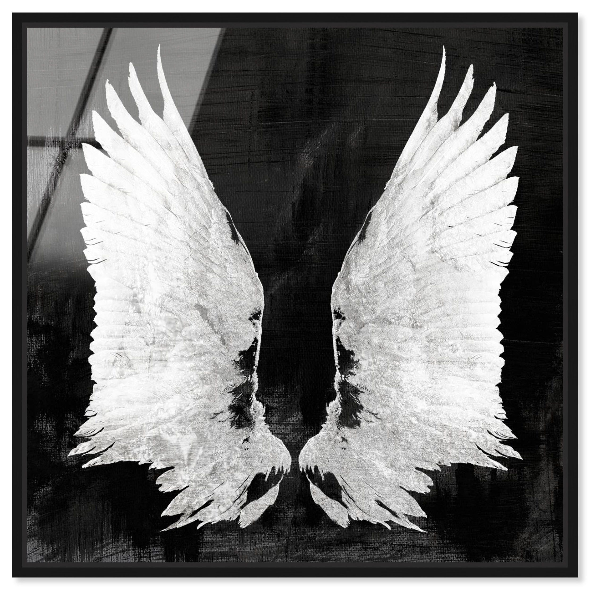 My Night Wings