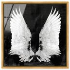 My Night Wings
