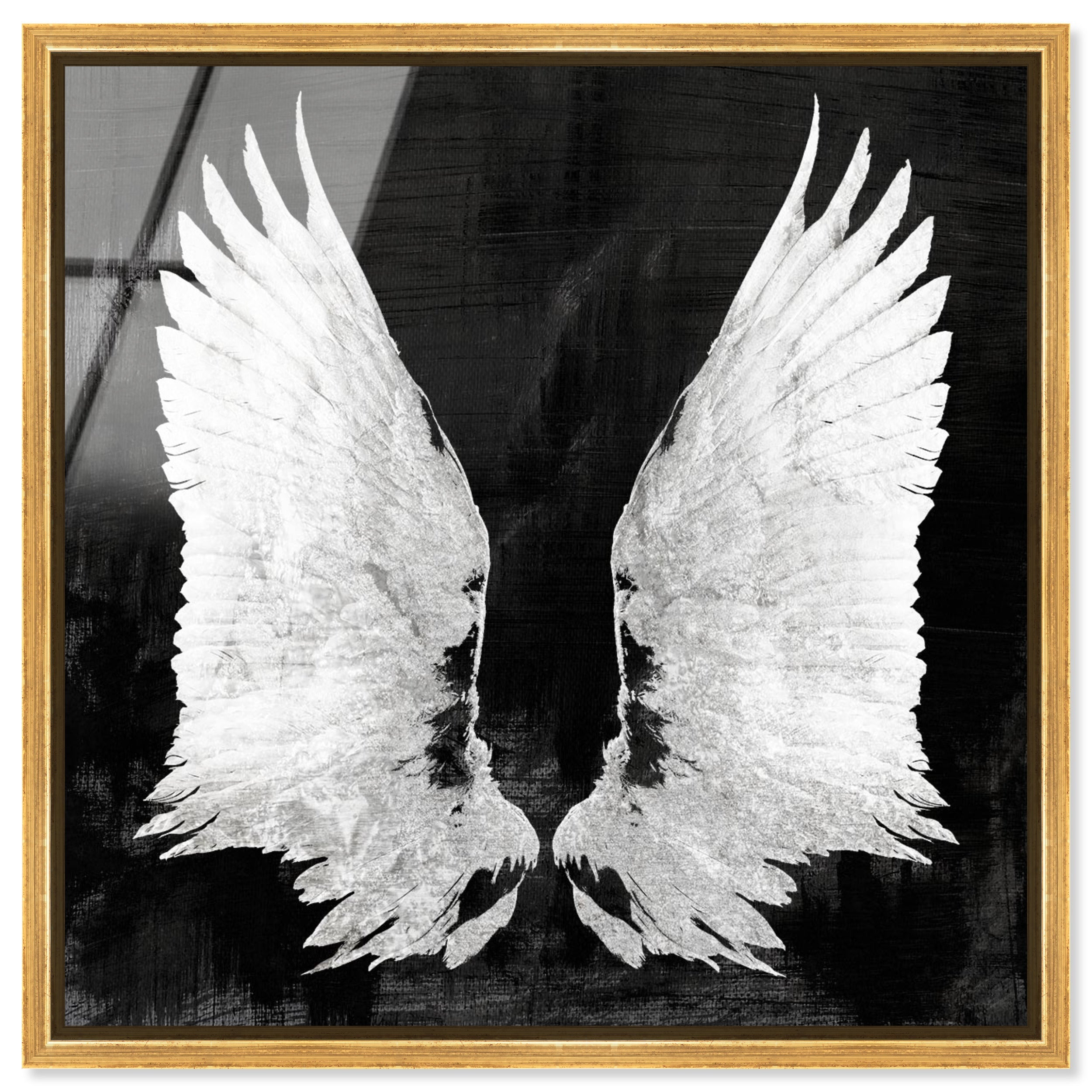 My Night Wings
