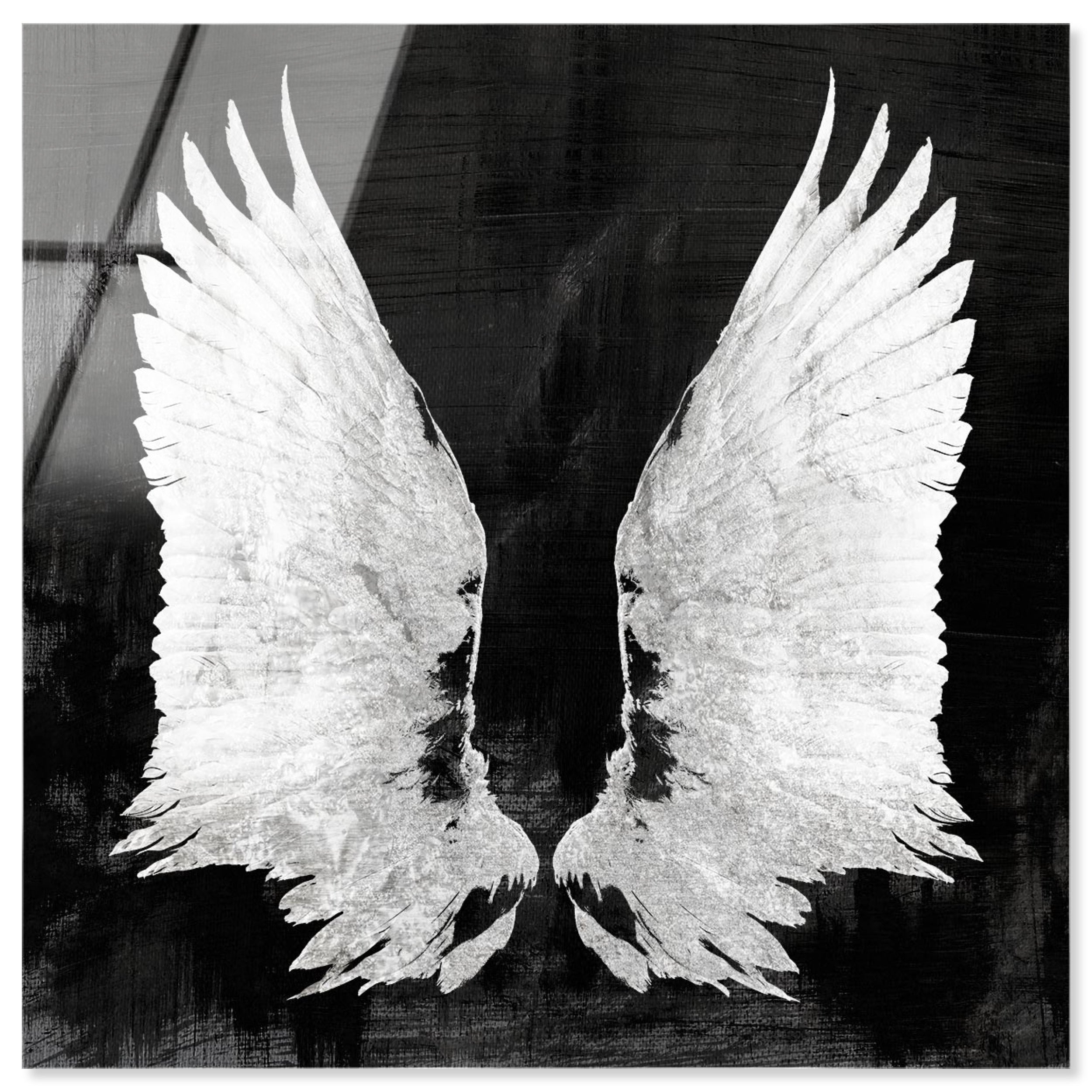 My Night Wings