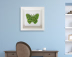 Butterfly Moss
