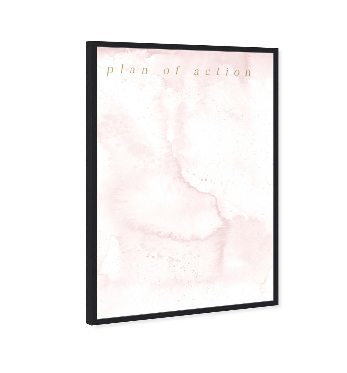 Plan Of Action