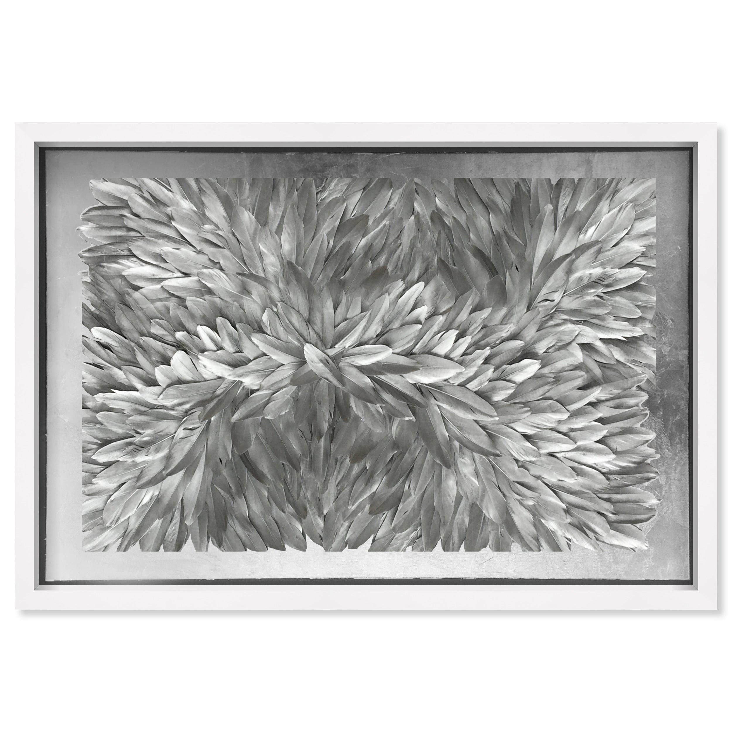 Feather Angles Silver Main image