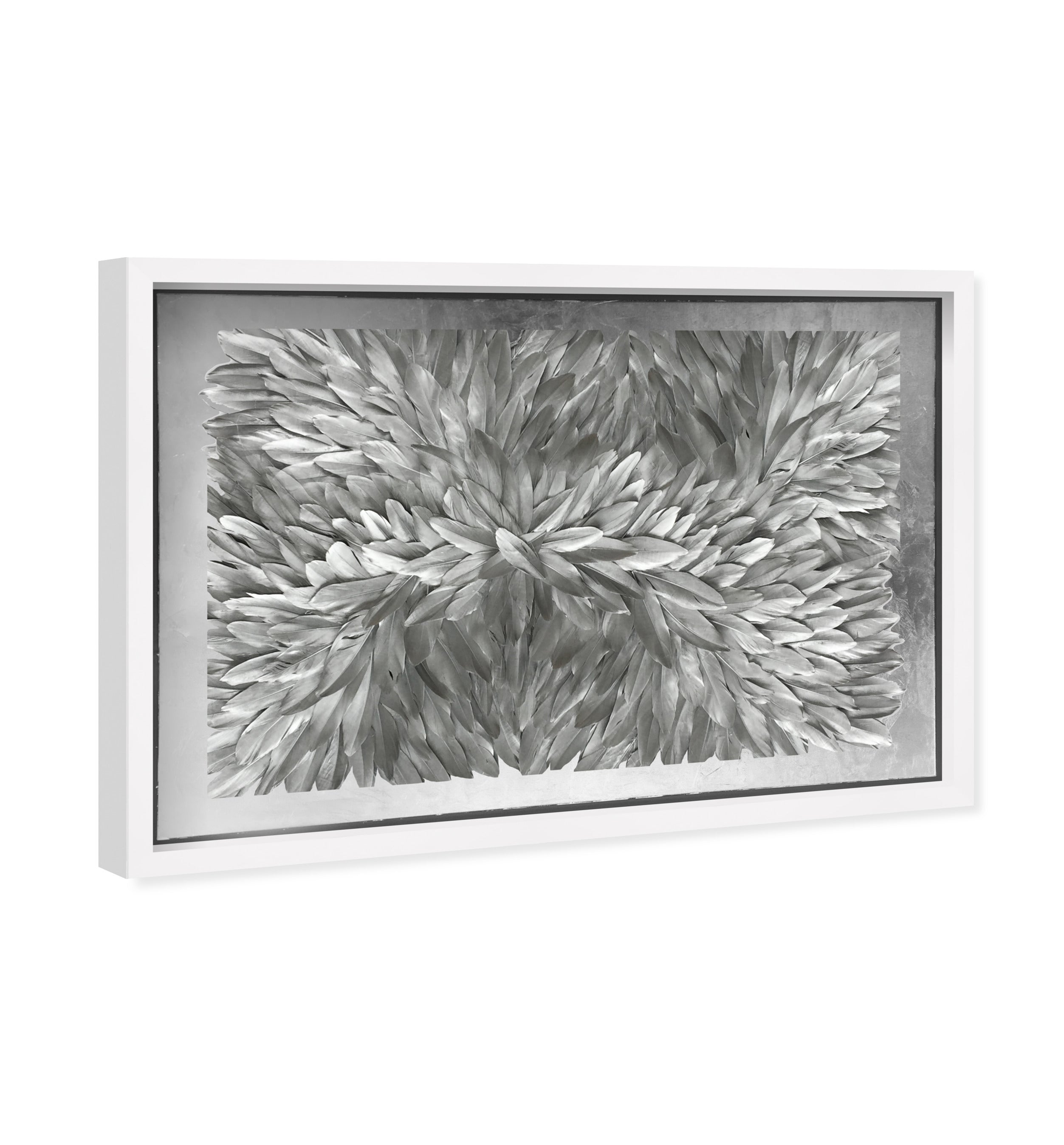 Feather Angles Silver