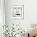 Bird Cage 1882